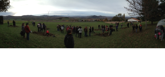 Plantation du verger