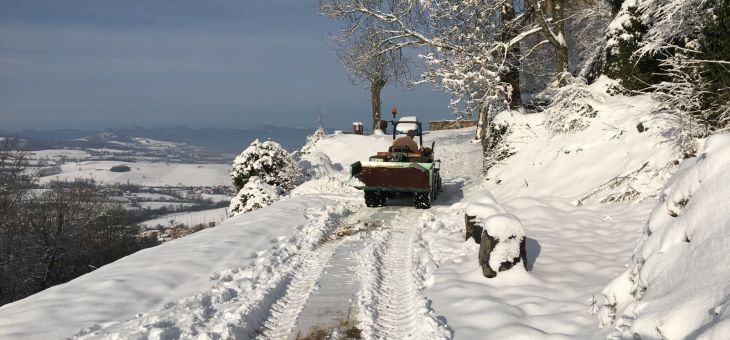 Janvier 2019 – Neige